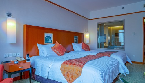Habitación Deluxe, 2 camas individuales