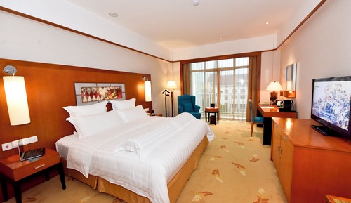 Habitación Deluxe, 1 cama de matrimonio grande, acceso al Business Lounge (Executive)