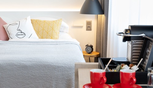 Habitación estándar con 1 cama doble o 2 individuales