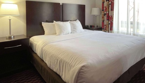 Suite, 1 cama de matrimonio grande con sofá cama, accesible para personas con discapacidad