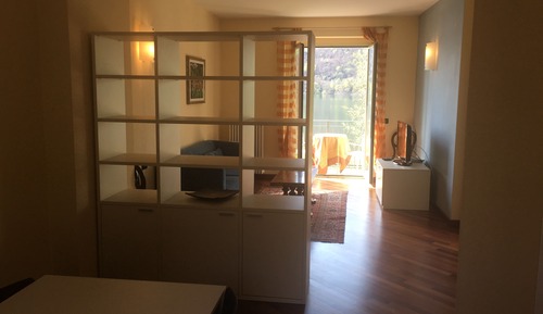 Apartamento, 1 habitación, cocina, vistas al lago