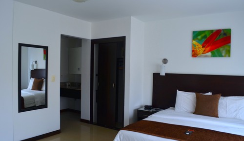 Habitación estándar, 1 cama doble