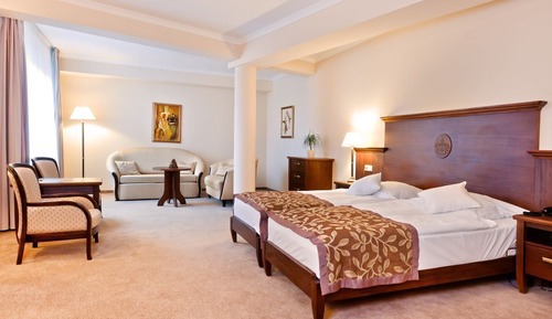 Habitación Deluxe con 1 cama doble o 2 individuales