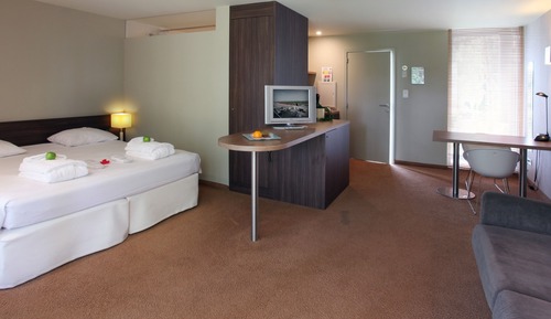 Habitación Deluxe doble de uso individual
