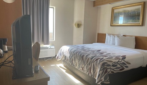 Habitación Deluxe, 1 cama de matrimonio, accesible para personas con discapacidad (Roll-In Shower)