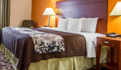 Habitación, 1 cama de matrimonio grande, accesible para personas con discapacidad, no fumadores
