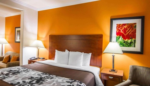 Suite, 1 cama de matrimonio grande con sofá cama, no fumadores