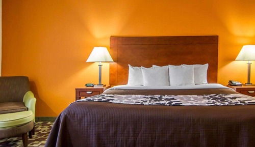 Habitación estándar, 1 cama de matrimonio grande, no fumadores