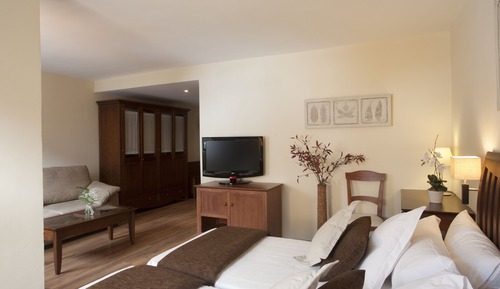 Habitación doble superior
