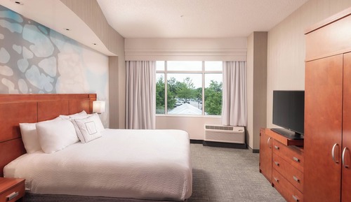 Suite junior, 1 habitación, no fumadores, vistas al patio (Mobility/Hearing Access, Roll-in Shwr)