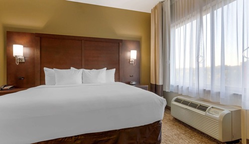 Suite, 1 cama de matrimonio grande con sofá cama, no fumadores (Roll-In Shower)