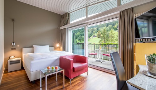 Habitación estándar doble, 1 cama de matrimonio, vistas al jardín