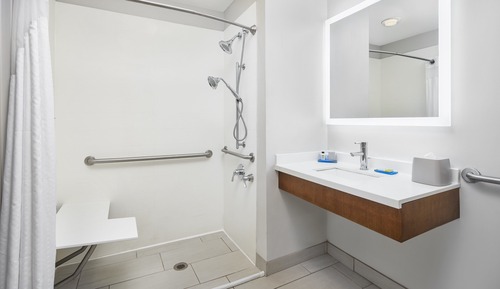 Habitación, accesible para personas con discapacidad (Roll-In Shower)
