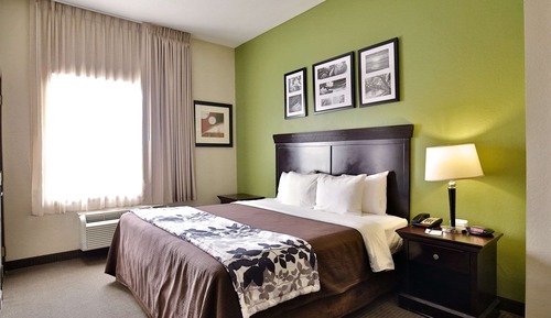 Habitación estándar, 1 cama de matrimonio grande