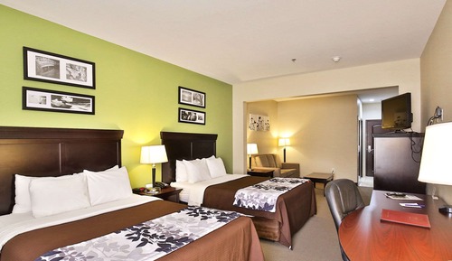 Habitación estándar, 2 camas de matrimonio