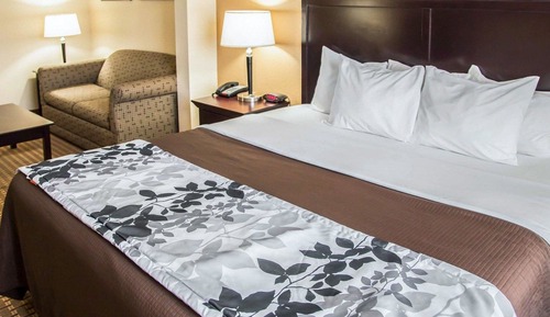 Suite, 1 cama de matrimonio grande con sofá cama