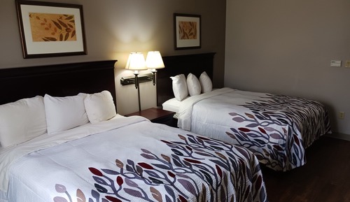 Habitación Deluxe, 2 camas de matrimonio, accesible para personas con discapacidad, no fumadores