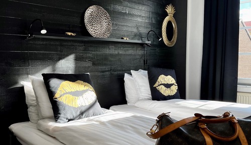 Habitación Deluxe con 2 camas individuales