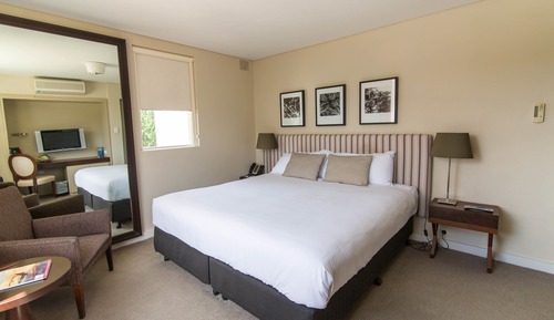 Pet Friendly Hotel Room (Weekly Housekeeping)