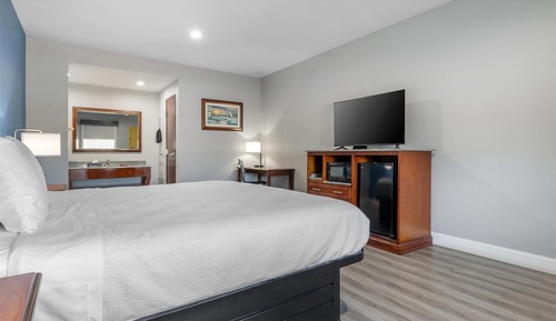 Habitación estándar, 1 cama de matrimonio grande, no fumadores, frigorífico y microondas