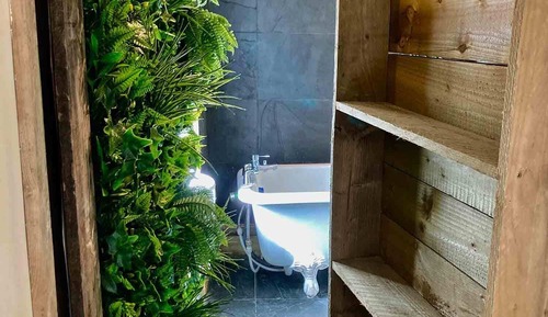 Habitación con 2 camas individuales, baño privado (The Forest Store)