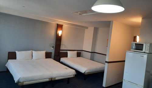 Habitación Deluxe con 2 camas individuales, no fumadores
