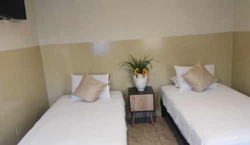 Habitación estándar con 2 camas individuales