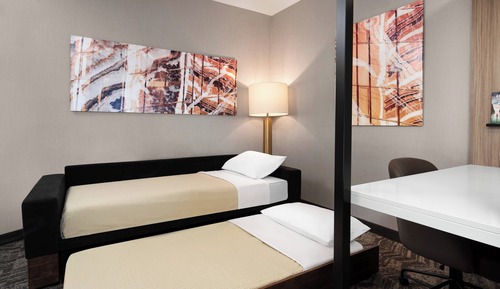 Suite estudio, varias camas (Mobility Accessible, Roll-In Shower)