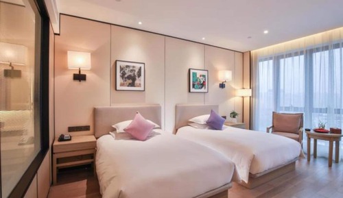 Habitación ejecutiva con 2 camas individuales