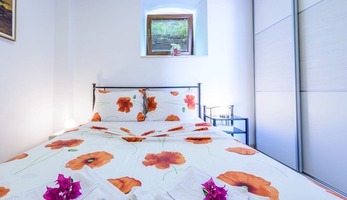 Apartamento Confort, 1 habitación