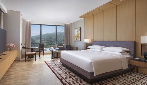 Habitación Deluxe, 1 cama de matrimonio grande (Club Room)