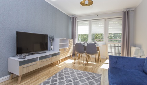 Comfort Apartment