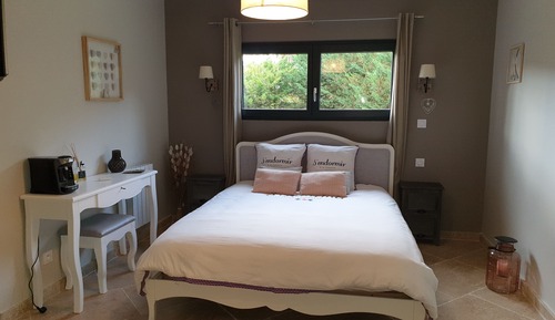 Habitación doble, 1 cama de matrimonio