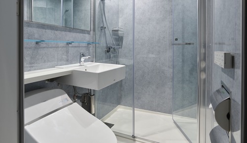 Habitación estándar, 1 cama doble, no fumadores (Shower)