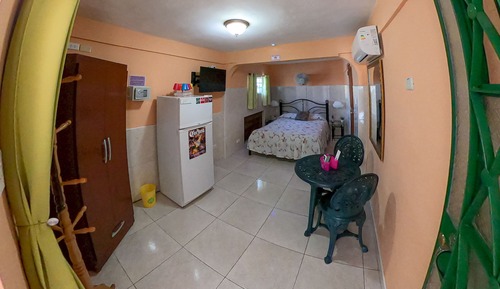 Habitación Confort (Green)