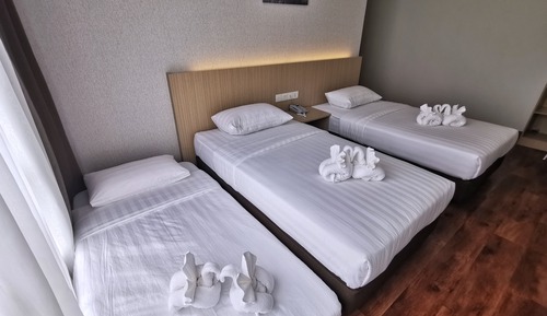 Habitación Deluxe con 2 camas individuales
