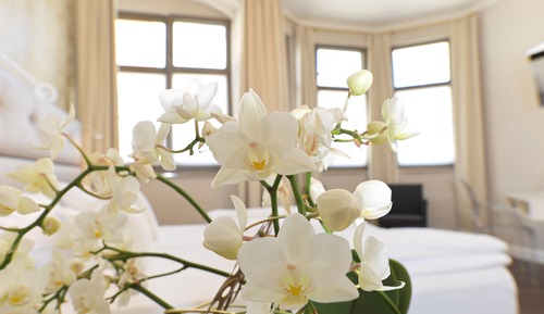 Suite Deluxe