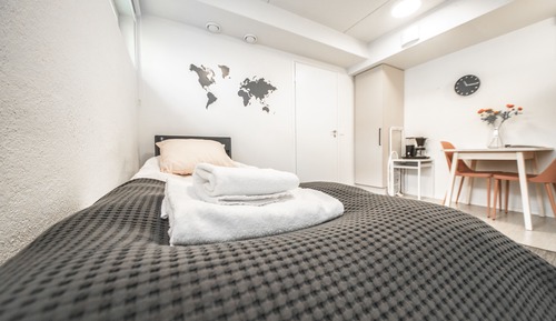 Studio Apartment with Sauna