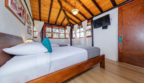 Habitación estándar con 2 camas individuales