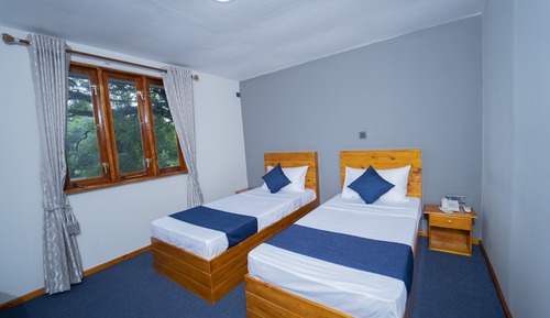 Habitación Deluxe con 1 cama doble o 2 individuales