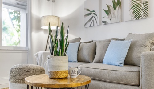 Apartamento Premium, 2 habitaciones, 2 baños (1718)