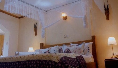 Suite estudio familiar