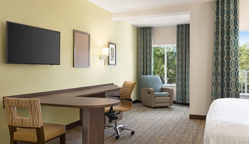 Suite estudio