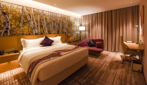 Habitación Premier, 1 cama de matrimonio grande, acceso al Business Lounge