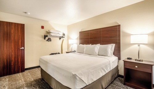 Suite, King Bed with Sofa Bed, Accessible Shower, Non Smoking