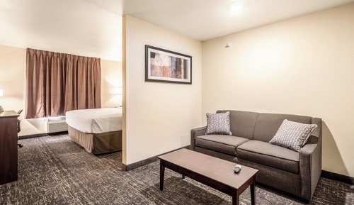Studio, King Bed with Sofa Bed, Accessible Tub, Audible/Visual Alert, Non Smoking