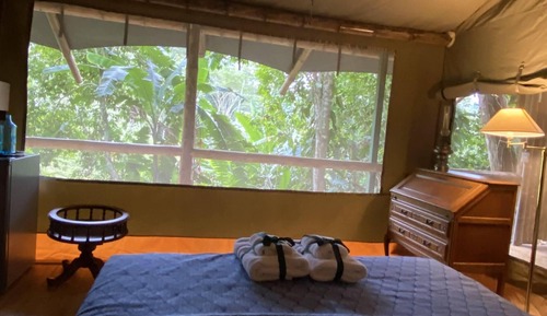 Tienda