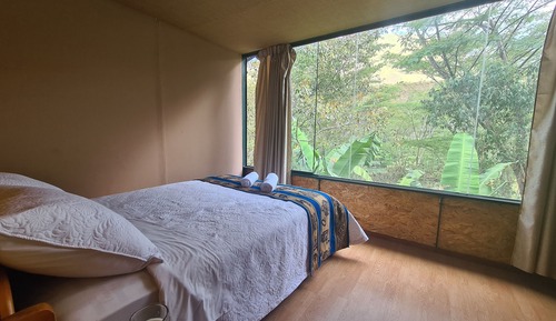 Panoramic Double or Twin Room, Pool Access, Mountain View
