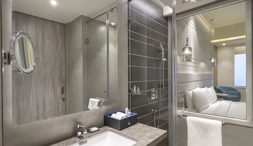 Habitación Business (Business Class)