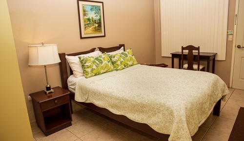 Habitación individual estándar, 1 cama doble
